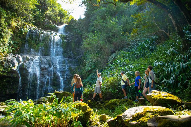 Kohala Waterfalls Small Group Adventure Tour - Travelers Reasons for Choosing