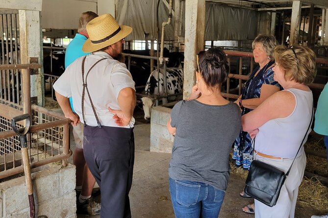 Lancaster County Amish Culture Small-Group Half-Day Tour - Farm Visit and Interactions