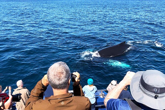 Late Season Puffin & Scenic Coastal Cruise - Final Words