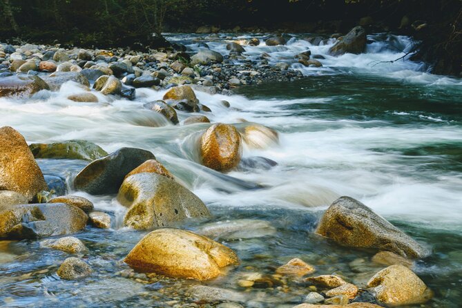 Lynn Canyon Suspension Bridge & Park Photography - Tour Highlights