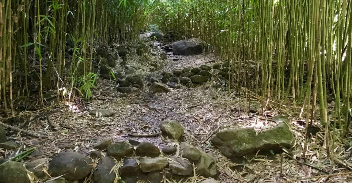 Maui: Private Jungle and Waterfalls Hiking Adventure - Common questions