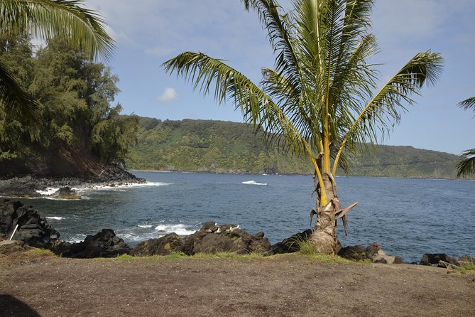 Maui Shore Excursion : Road to Hana Tour From Kaanapali - Guest Reviews