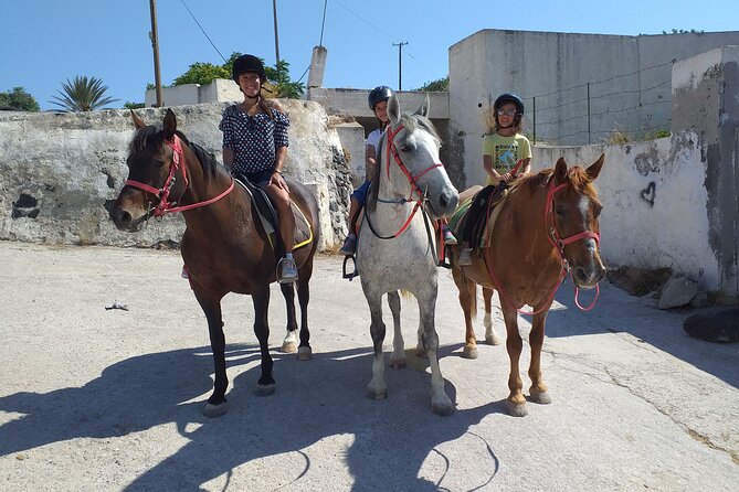 Megalochori Horseback Excursion  - Santorini - Safety Measures