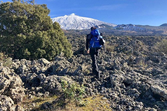 Mount Etna Small-Group Guided Hike  - Sicily - Customer Feedback and Reviews