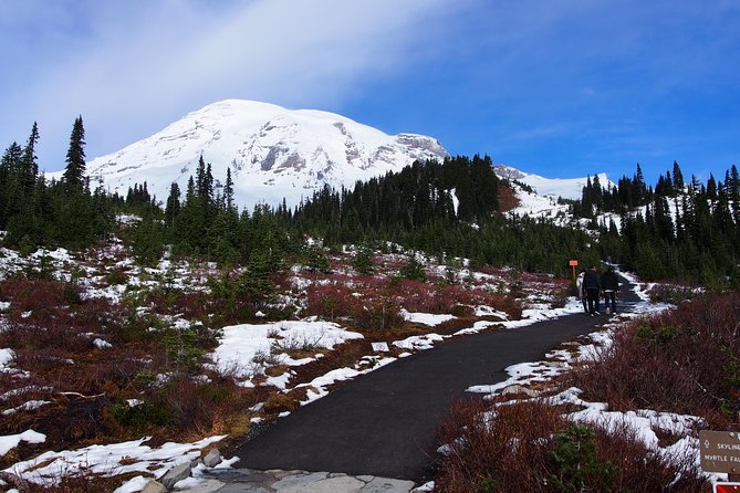 Mt. Rainier Day Tour From Seattle - Common questions