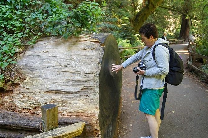 Muir Woods Tour of California Coastal Redwoods - Additional Information