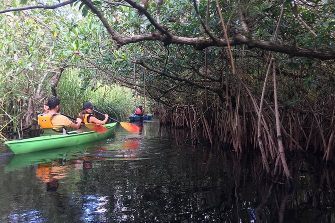 Naples Small-Group Half-Day Everglades Kayak Tour - Guest Satisfaction and Improvements