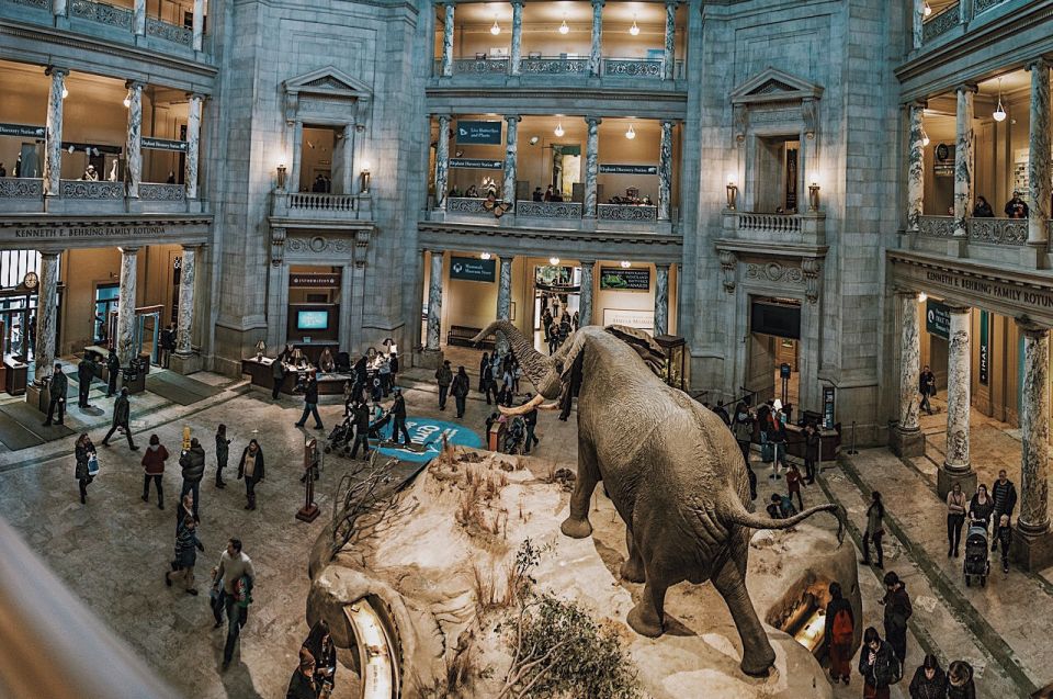 National Museum of Natural History Guided Tour - Rating, Popularity, and Guide Insights