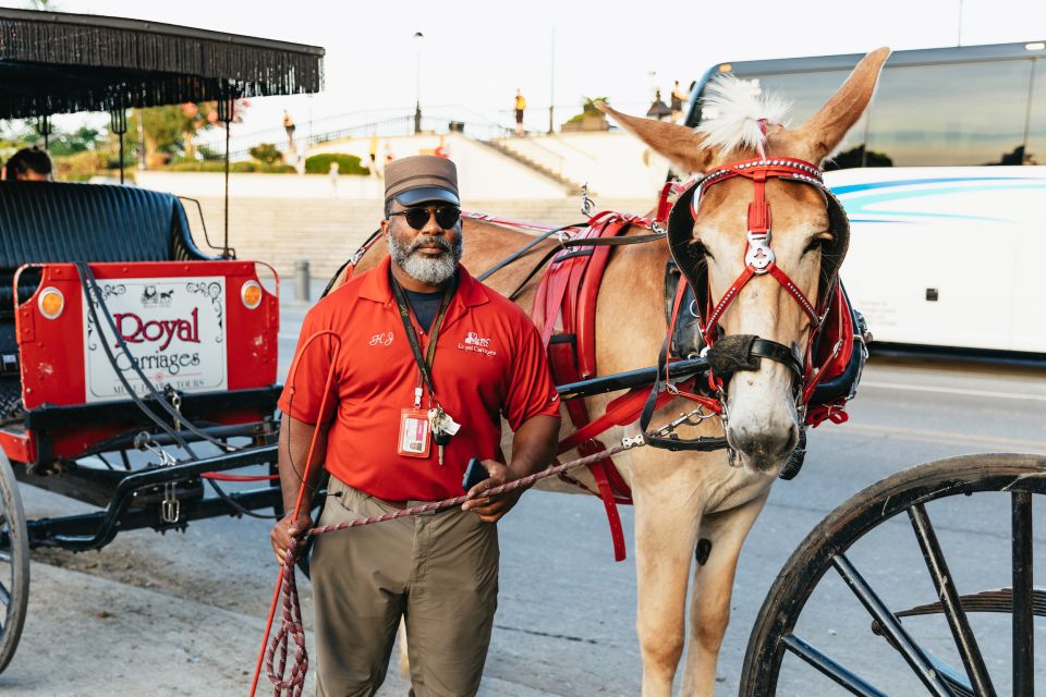 New Orleans: French Quarter Sightseeing Carriage Ride - Customer Reviews