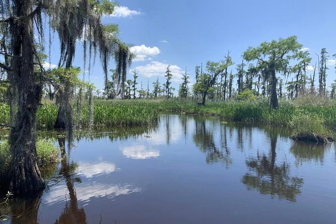 New Orleans Small-Group Airboat Swamp Tour - Final Words