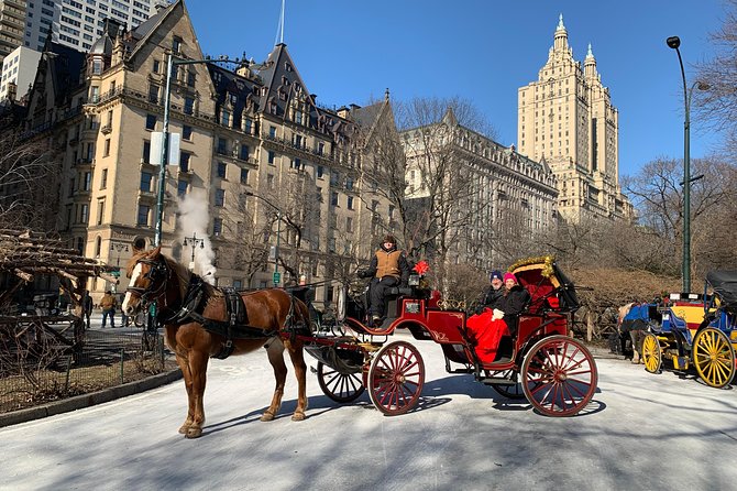 New York City: Central Park Private Horse-and-Carriage Ride - Common questions