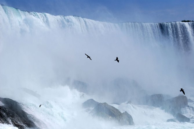 Niagara Falls Day Tour From Toronto - Contact Information