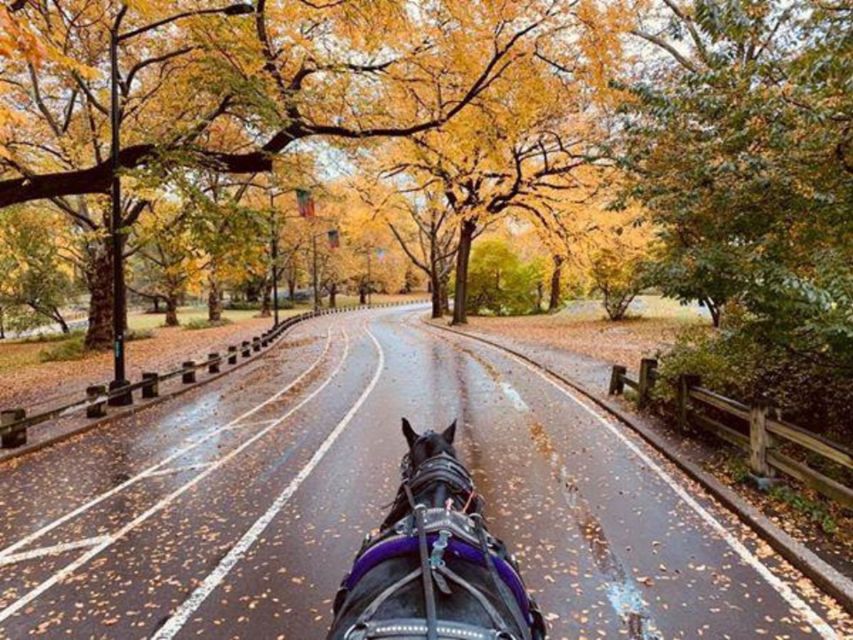 NYC: Central Park Horse-Drawn Carriage Ride (up to 4 Adults) - Final Words