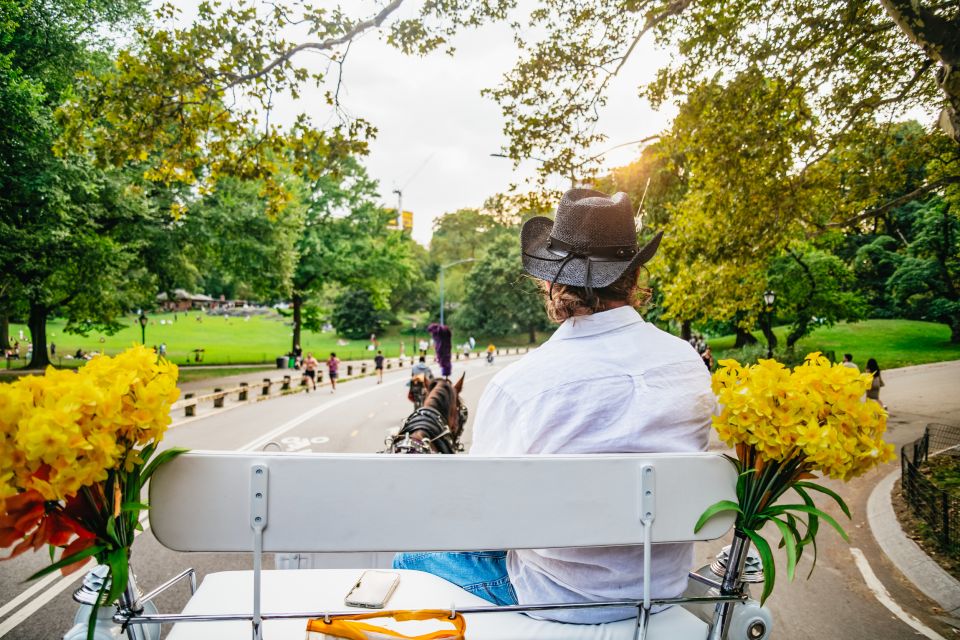 NYC: Guided Central Park Horse Carriage Ride - Visitor Testimonials