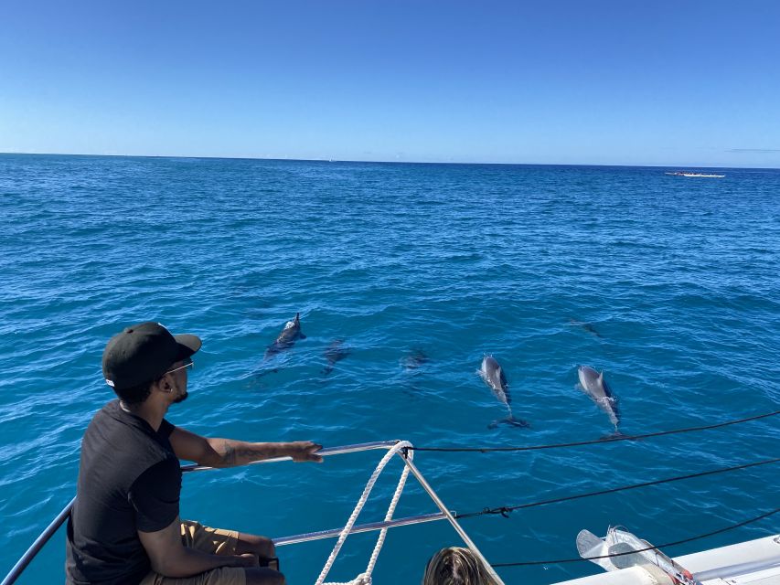 Oahu: Honolulu Private Catamaran Cruise With Snorkeling - Customer Reviews and Testimonials