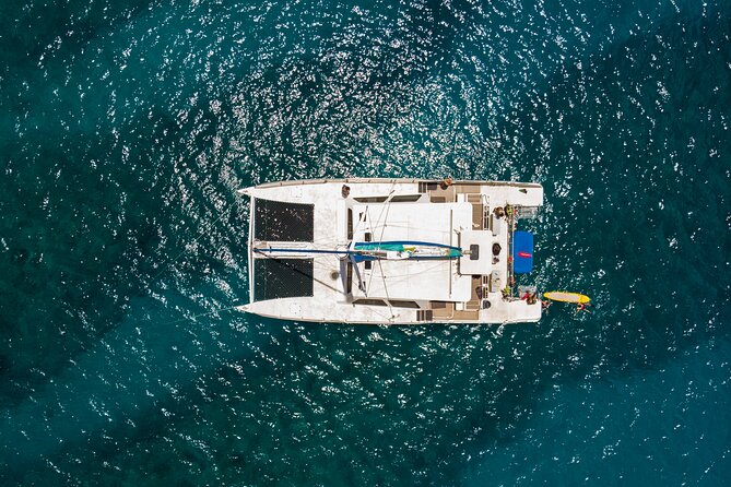 Oahu Turtle Canyon Snorkel Catamaran Cruise With Green Turtles - Final Words