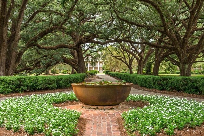 Oak Alley Plantation and Small Airboat Tour From New Orleans - Overall Experience