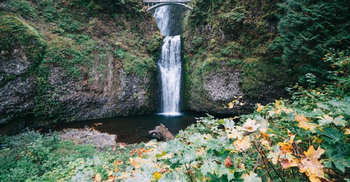 Portland: Columbia River Gorge Waterfalls Afternoon Tour - Additional Information