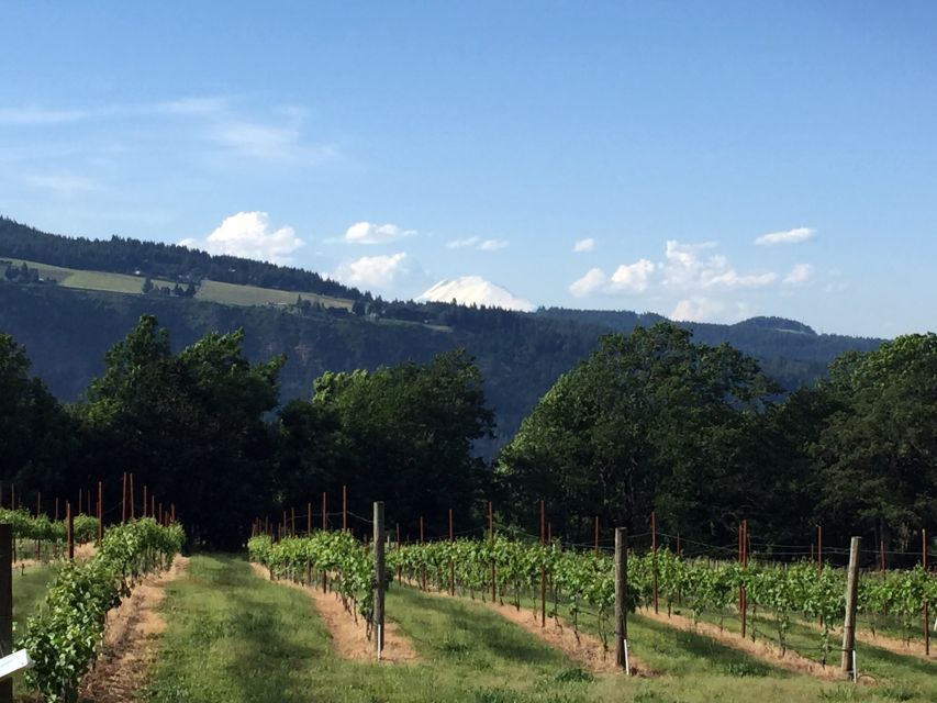 Portland: Mount Hood Wine and Waterfalls Full-Day Tour - Booking Information