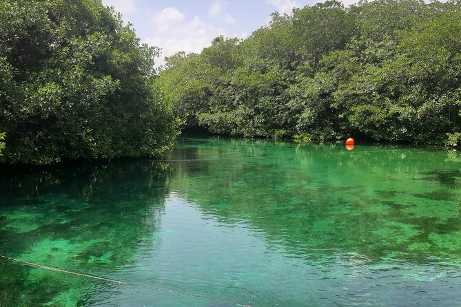 Private Cenotes Tour - Features