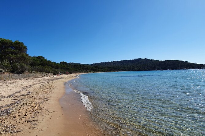 Private Full-Day Boat Trip to Porquerolles - Customer Testimonials