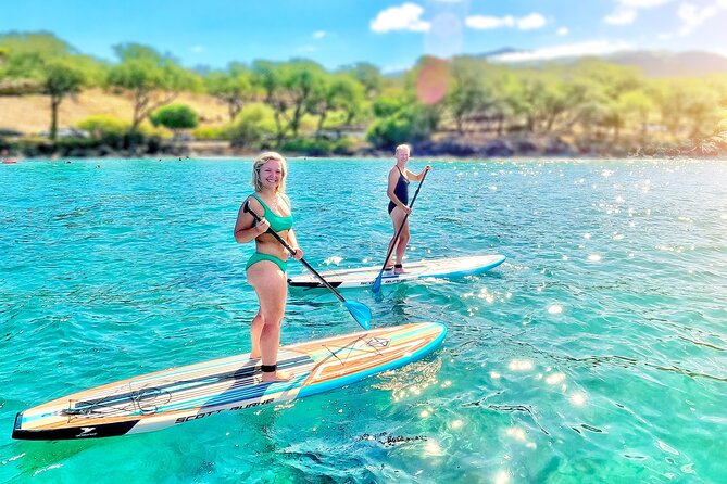 Private Stand Up Paddle Boarding Tour in Turtle Town, Maui - Common questions