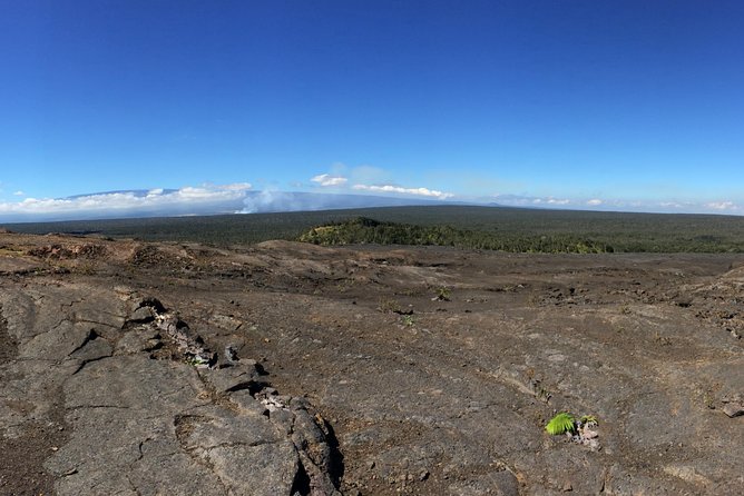 Private Tour: Hawaii Volcanoes National Park Eco Tour - Guide Expertise and Knowledge