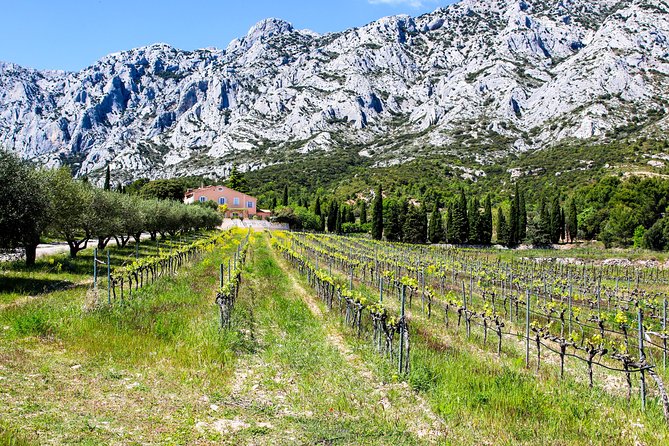 Provence - Mont Sainte Victoire in Search of Cézanne Private Wine Tour - Final Words