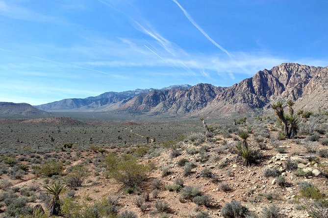 Red Rock Canyon Hiking Tour With Transport From Las Vegas - Guide Appreciation and Scenery