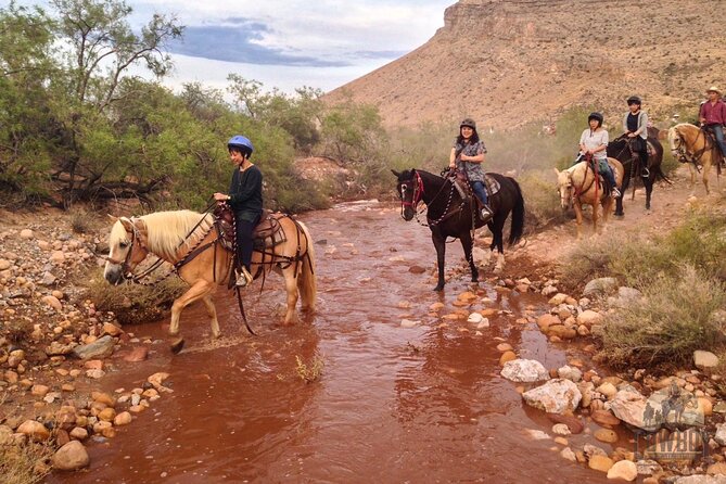 Red Rock Canyon Sunset Horseback Ride and Barbeque Dinner - Safety Guidelines