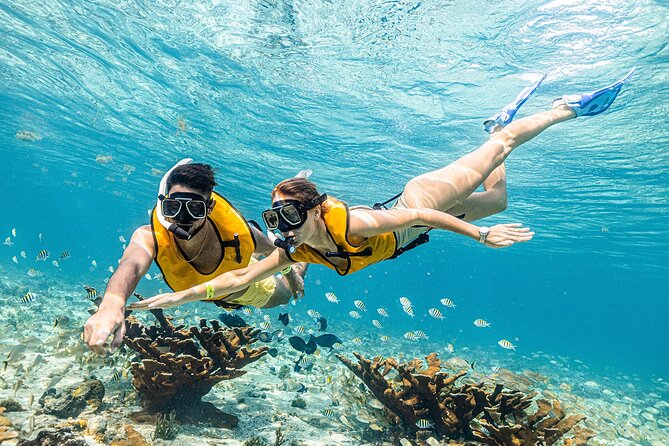 Reef and Shipwreck Snorkeling Tour in Cancun - Final Words