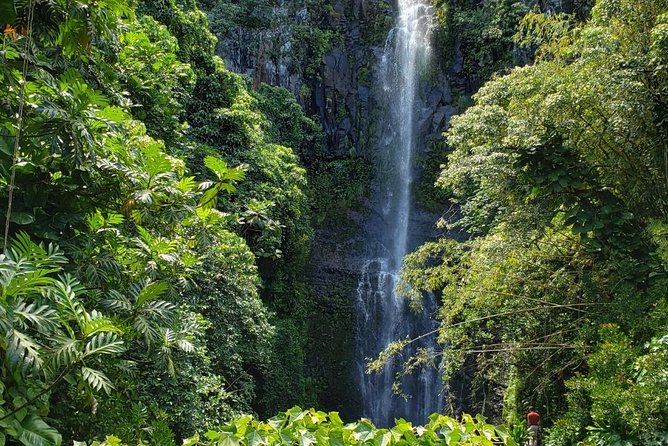 Road to Hana Adventure in Maui- Private - Just for Your Group - Pricing and Booking Process