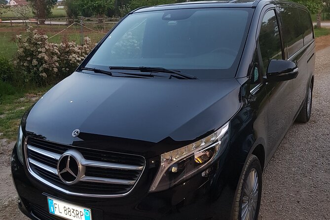 Rome Full-Day Private Sightseeing With Luxury Transportation - Customer Reviews and Testimonials