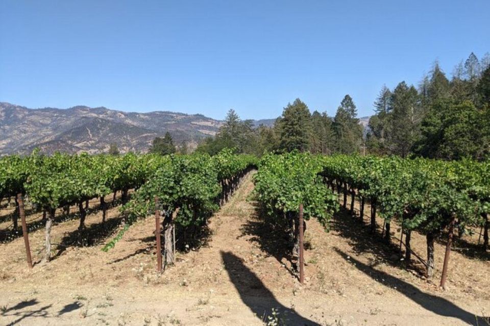 San Francisco: Napa and Sonoma Valley Private Wine Tour - Tour Highlights