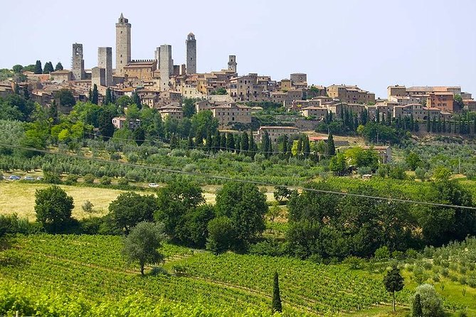 San Gimignano, Chianti, and Montalcino Day Trip From Siena - Final Words