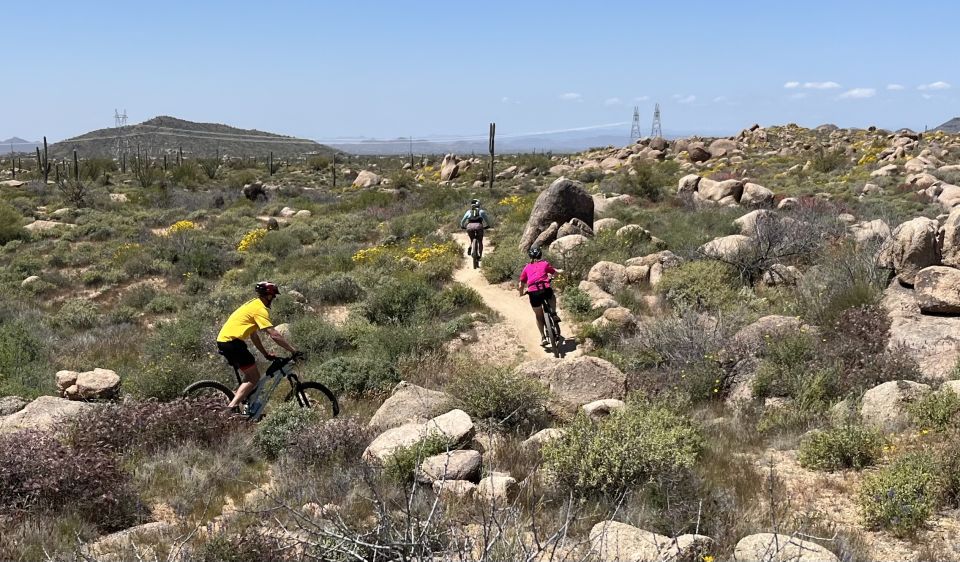 Scottsdale, AZ Private Guided Desert Mountain Bike Tours - Final Words