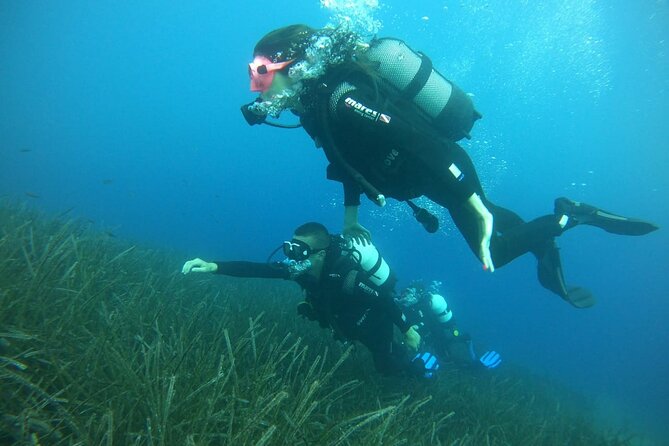 Scuba Diving Experience in Santorini - Common questions