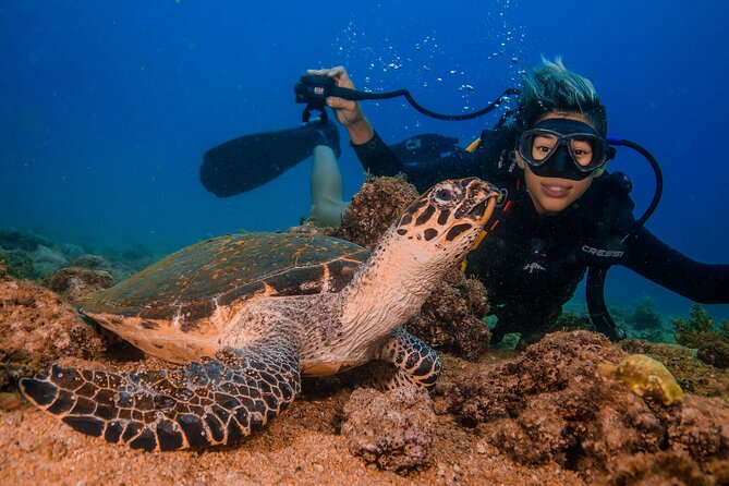 Scuba Diving With a 5-Star PADI Center in Puerto Vallarta - Booking and Cancellation Policy