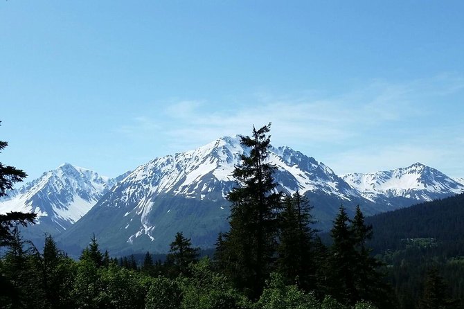 Seward Alaska Small-Group Ziplining Experience in Nature - Common questions