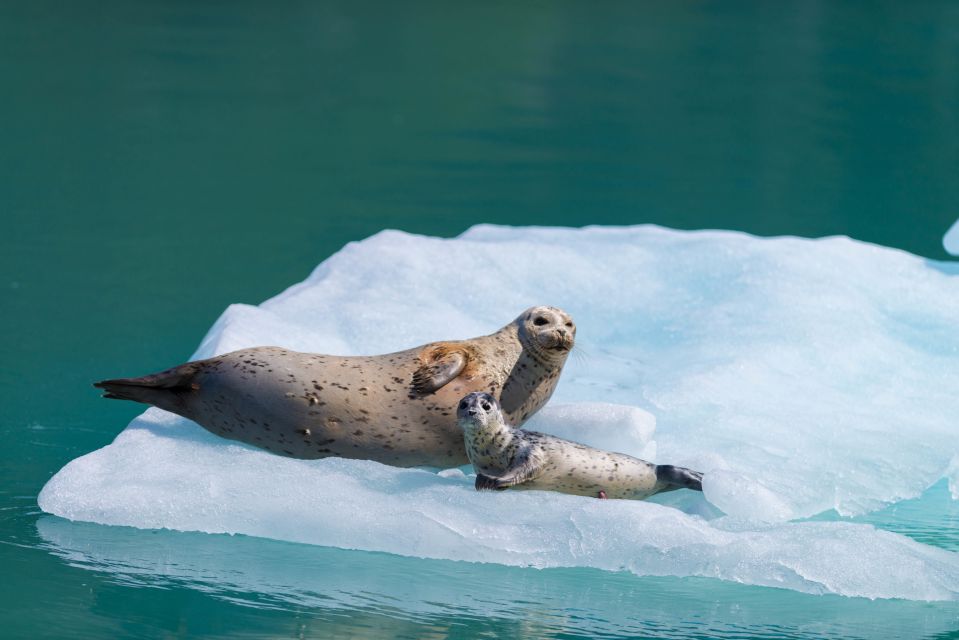 Seward: Kenai Fjords National Park 6-Hour Cruise - Final Words