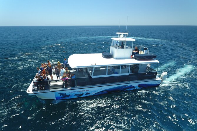 Shared Two-Hour Whale Watching Tour From Oceanside - Tour Highlights