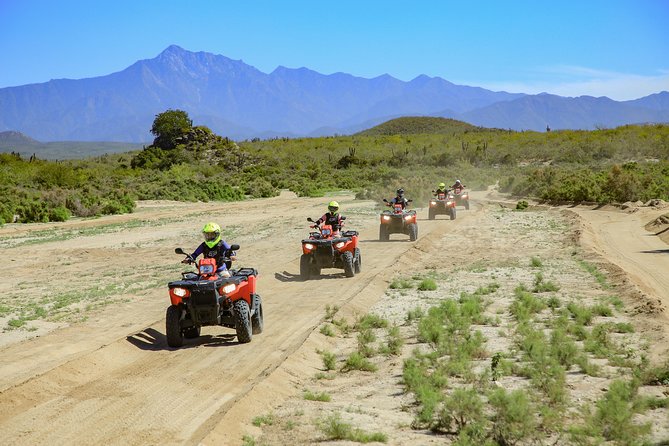 Small-Group ATV Desert Adventure in Cabo San Lucas - Common questions