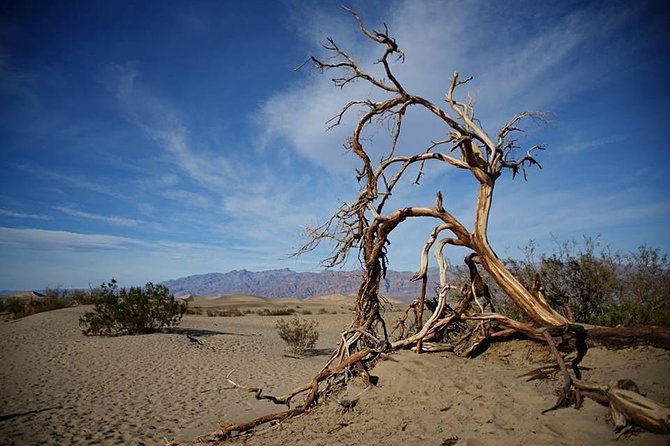 Small-Group Death Valley National Park Day Tour From Las Vegas - Booking and Reservations