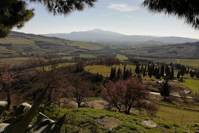 Small-Group Montepulciano and Pienza Day Trip From Siena - Local Experiences