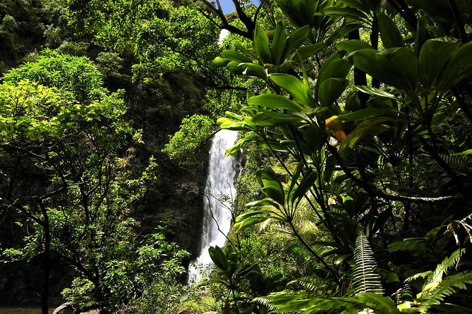Small-Group Road to Hana Luxury Tour - Final Words