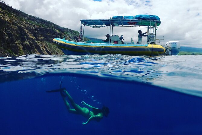 Small Group Snorkeling Expedition South Kona - Exciting Marine Exploration