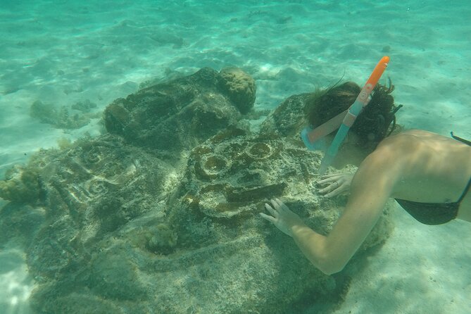 Snorkeling Excursion and Encounter With Marine Fauna in Moorea - Memorable Water Experiences
