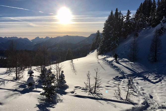 Snowshoeing Tour From Baniff  - Banff - Cancellation Policy