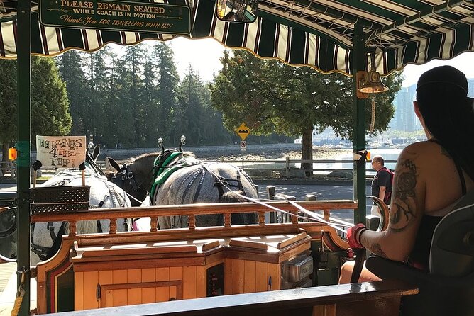 Stanley Park Horse-Drawn Tour - Additional Tips