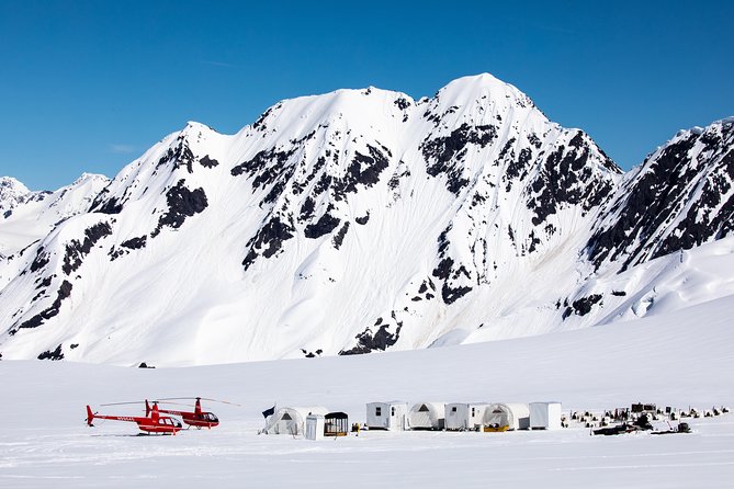 Summer Glacier Dogsledding Tour From Girdwood - Cancellation and Pricing